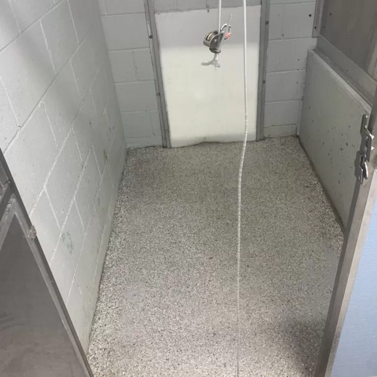 Epoxy Dog Kennel Flooring